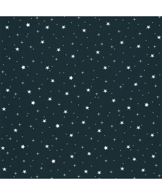 OUR PLANET STARS IN YOUR EYES 101926918