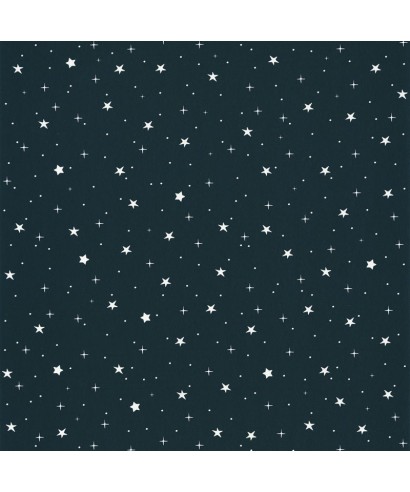 OUR PLANET STARS IN YOUR EYES 101926918