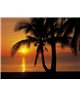 POSTER FOTOMURALE PALMY BEACH SUNRISE