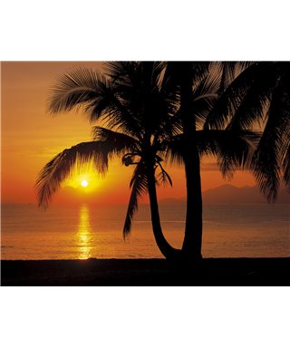 POSTER FOTOMURALE PALMY BEACH SUNRISE