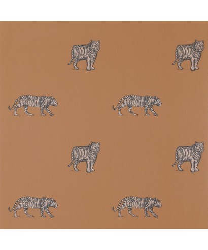 OUR PLANET EYE OF THE TIGER 101962929
