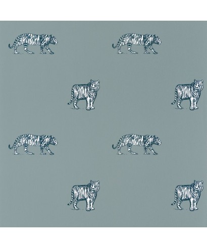 OUR PLANET EYE OF THE TIGER 101967106