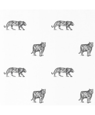 OUR PLANET EYE OF THE TIGER 101969916