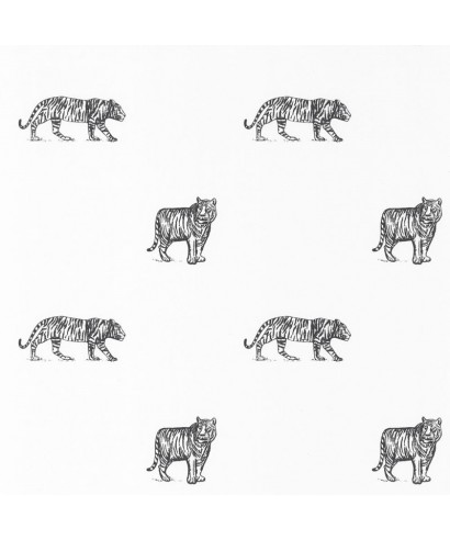 OUR PLANET EYE OF THE TIGER 101969916