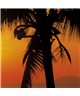 POSTER FOTOMURALE PALMY BEACH SUNRISE
