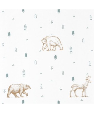 OUR PLANET GRIZZLY BEARS 101987112