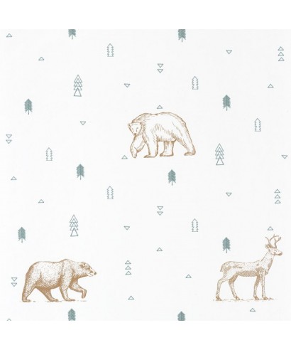 OUR PLANET GRIZZLY BEARS 101987112