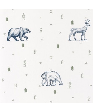 OUR PLANET GRIZZLY BEARS 101987403