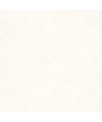 PATINE UNI 100221256