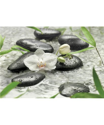 POSTER FOTOMURALE PURE 