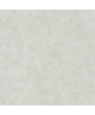 PATINE UNI 100227232