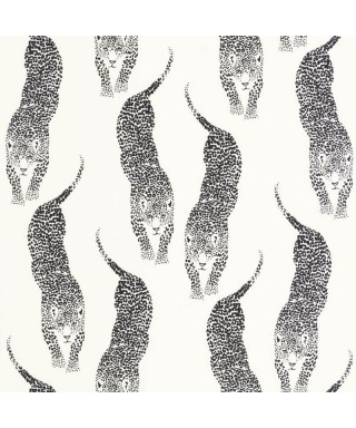 PANTHERA 104920995