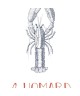 LE HOMARD 201636804