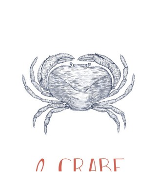 LE CRABE 201648602