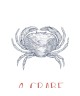 LE CRABE 201648604