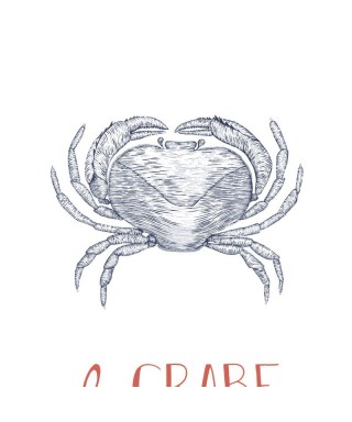 LE CRABE 201648604