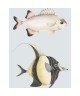 STAN ET LEON LES POISSONS 201686202