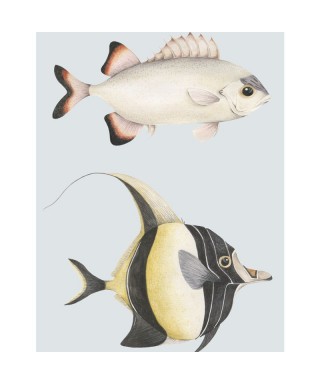 STAN ET LEON LES POISSONS 201686202