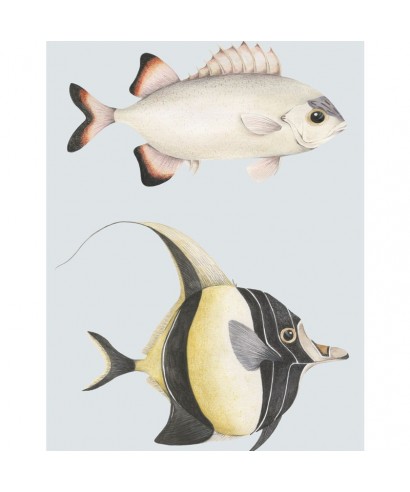 STAN ET LEON LES POISSONS 201686202