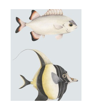 STAN ET LEON LES POISSONS 201686204