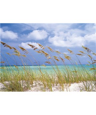 POSTER FOTOMURALE OCEAN BREEZE