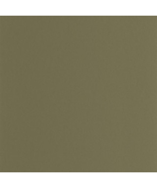 PIGMENTS 200337606