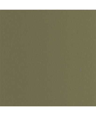 PIGMENTS 200337606