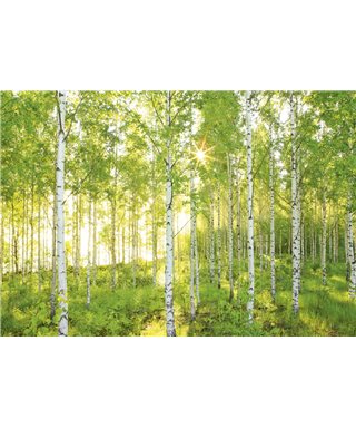 POSTER FOTOMURALE SUNDAY