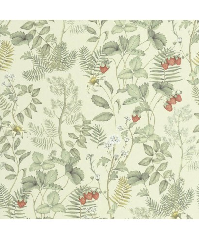 STRAWBERRY FIELD 201217362