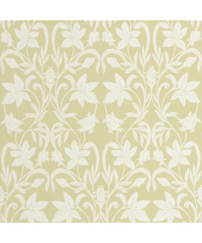 PRIMROSE 201237245
