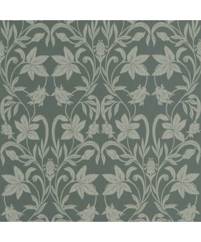 PRIMROSE 201237608