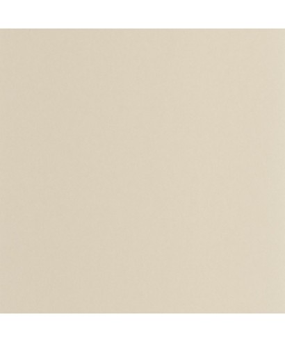 PIGMENTS 200331212