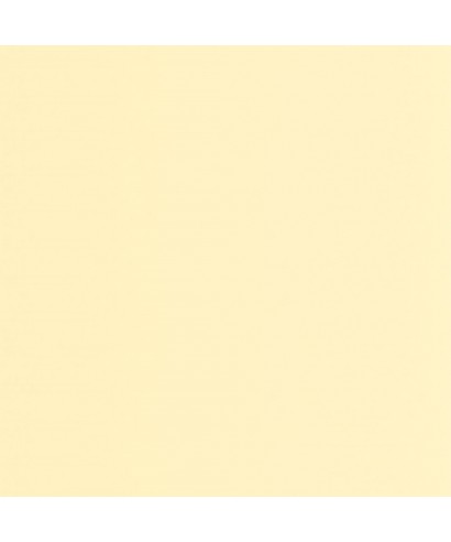 PIGMENTS 200332002