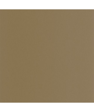 PIGMENTS 200332707