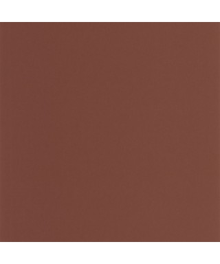 PIGMENTS 200332808