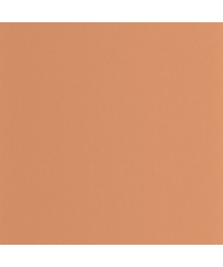 PIGMENTS 200333320