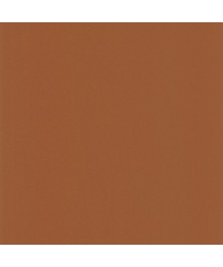 PIGMENTS 200333443