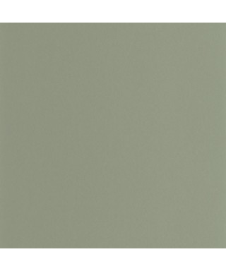PIGMENTS 200336303