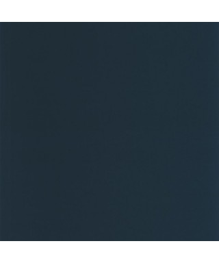 PIGMENTS 200336969
