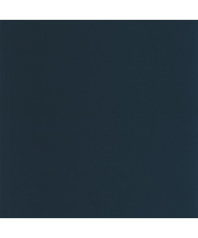PIGMENTS 200336969