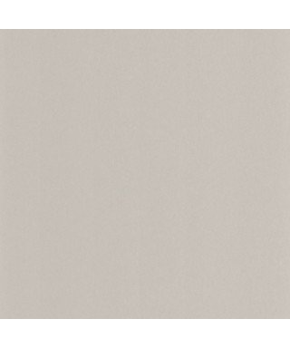 PIGMENTS 200339229