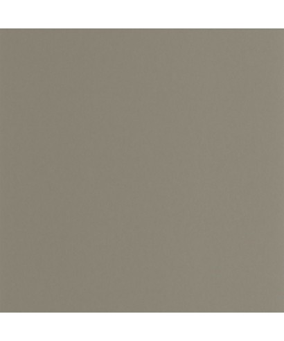 PIGMENTS 200339404