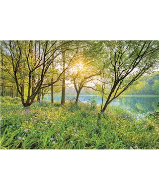 POSTER FOTOMURALE SPRING LAKE