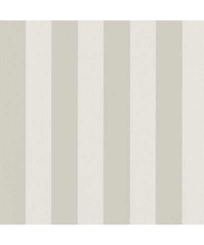 BALTIC RAYURE 29251116