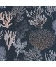 CORAIL 83976776