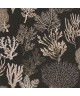 CORAIL 83979808