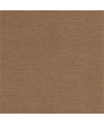 BOACO 201302929