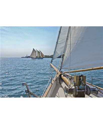 POSTER FOTOMURALE SAILING