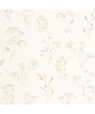 LITTLE GRAMINEA 106680234