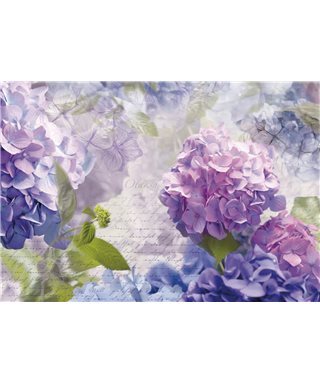 POSTER FOTOMURALE OTAKSA 